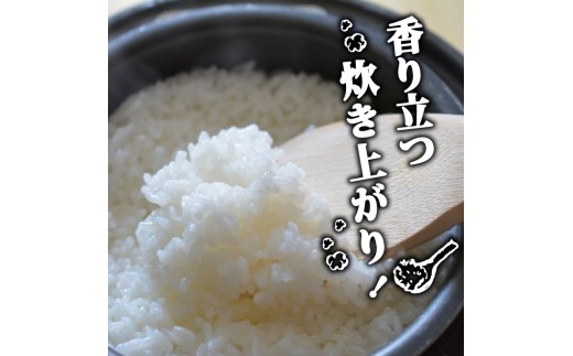 2025年 コシヒカリ 5Kg 産地直送 高知県産 白米 精米 こしひかり 米 常温 配送 ブランド米 国産 米 早場米 人気 天然 恵み 心 高知県 須崎市 SI002 ５kg