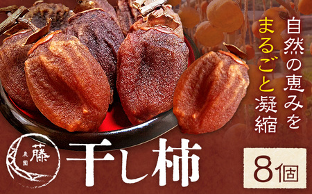【先行予約】干し柿 8個 柿 果物 フルーツ かき 高瀬柿 御船藤農園《2026年11月中旬-2027年1月中旬頃出荷》熊本県 御船町 ドライフルーツ 甘味 くだもの 和菓子 熊本県産 おやつ スイーツ