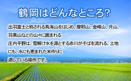 【令和8年産先行予約】特別栽培米つや姫 無洗米 10kg (5kg×2袋)×6ヶ月【定期便】　鶴岡協同ファーム 