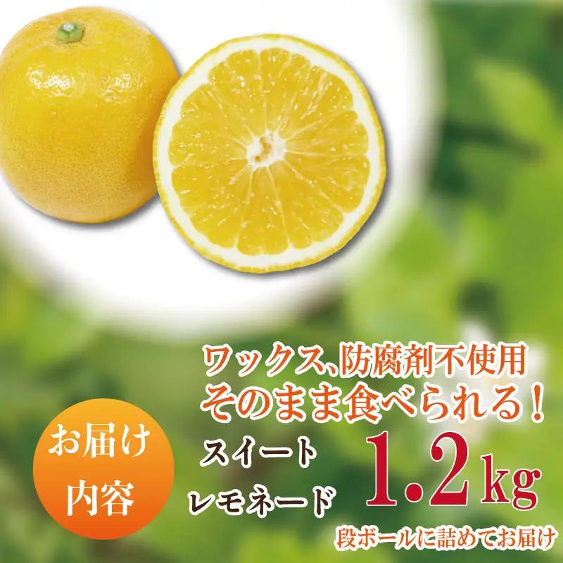 【2026年10月順次発送】 スイートレモネード 1.2kg (10～12個) レモン れもん 檸檬 柑橘 フルーツ 果物 完熟 国産 新鮮 果汁 レモン スイートレモネード  スイートレモネード  