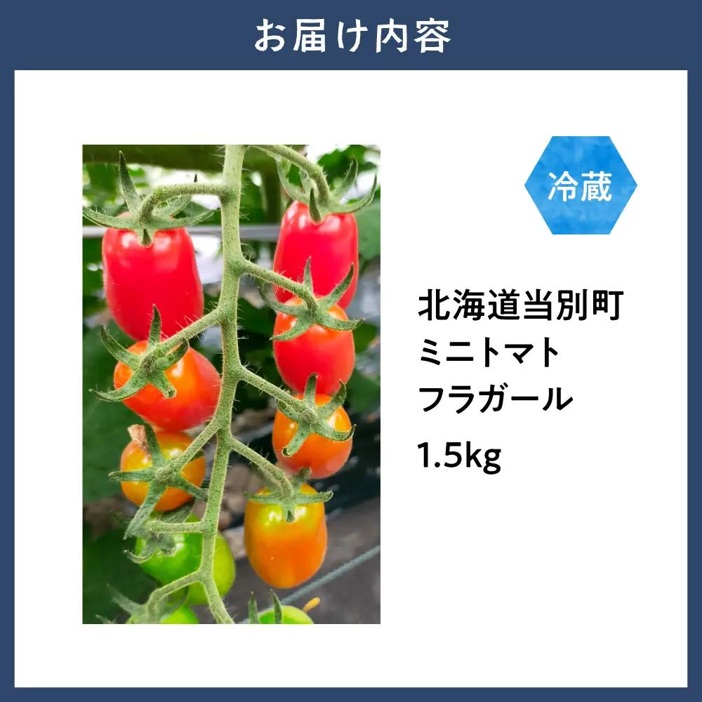 北海道当別町産化学農薬不使用ミニトマト フラガール1.5kg | 北海道産 トマト 野菜 大容量 北海道 当別町