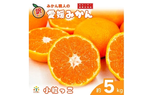 
										
										訳あり 愛媛みかん 小粒っ子 約5kg 【発送期間：9月中旬～1月中旬】 柑橘 果物 国産 フルーツ 蜜柑 ミックス 不揃い 傷 温州 ビタミン 美味しい みかん職人武田屋 愛媛県 愛南町
									