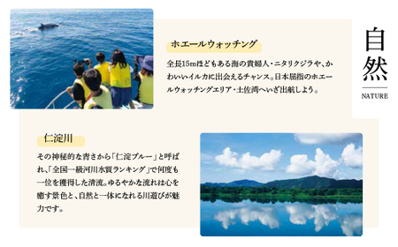 ボックスティッシュ すみっコぐらしふわっとグリーン 150組 20個入り 高知県土佐市 【ハヤシ商事株式会社】 [BQAD020]