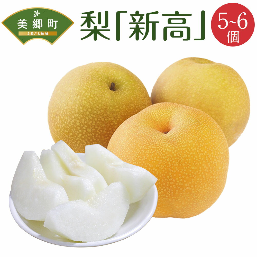 【ふるさと納税】 【期間限定発送】 梨 新高 5〜6個 [農産物直売所 美郷ノ蔵 宮崎県 美郷町 31ab0133] なし ナシ 果物 くだもの フルーツ 美郷町産 ジューシー さいごう梨