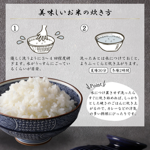 米 令和7年産 コシヒカリ 白米 10kg 