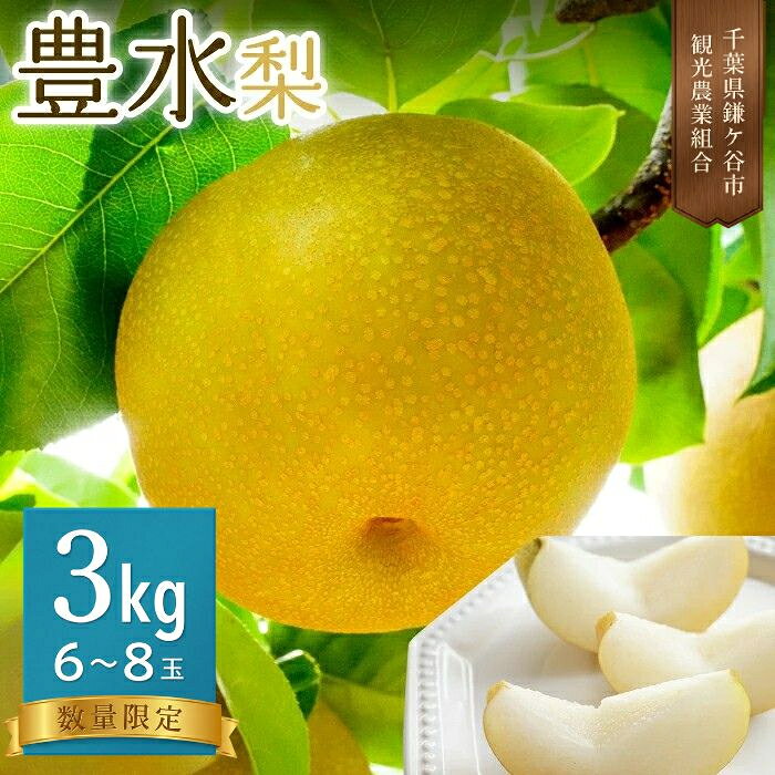 【ふるさと納税】梨 豊水 3kg 6～8玉 先行予約 千葉県 鎌ケ谷市 完熟 甘い 観光農業組合 果物 フルーツ 和梨 贈答用 ギフト 2026年8月中旬～順次発送　組合の梨
