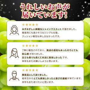 フルーツ王国山梨産 厳選 シャインマスカット 6～8房(約4kg) 2kg×2箱【配送不可地域：離島】【1632338】