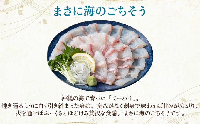 石垣島 ハタ 丸ごと1本 | 勝水産 ミーバイ ヤイトハタ 沖縄県石垣市 石垣 沖縄 石垣市 石垣島 KS-13