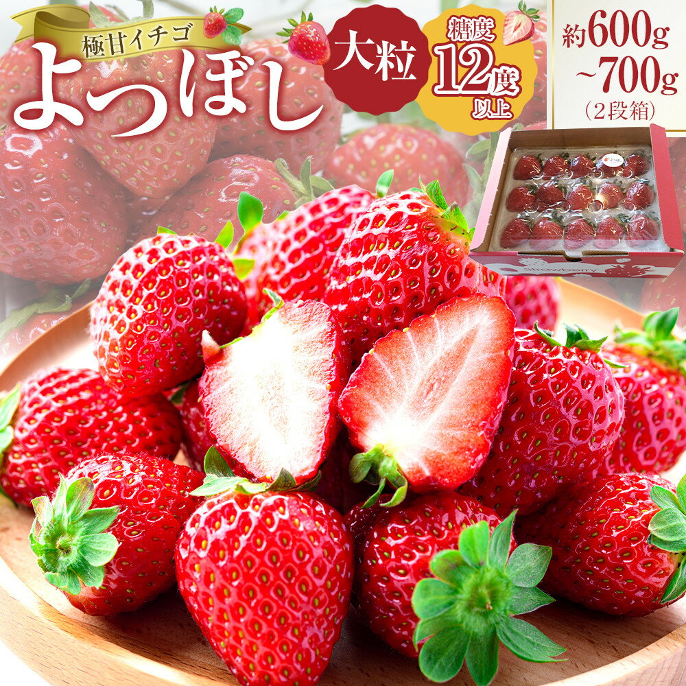 【ふるさと納税】よつぼし いちご (約600~700g）糖度12度以上 ｜ 苺 イチゴ ストロベリー 大きい 大粒 旬 高級 産地直送 新鮮 果汁 甘い あまい 大容量 人気 送料無料 | 苺 イチゴ ストロベリー 大きい 大粒 旬 高級 産地直送 新鮮 果汁 甘い あまい 大容量 人気 送料無料