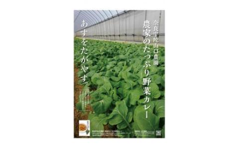 定期便 ３ヶ月 農家のたっぷり野菜カレー ３０個 月１回 ／ 山口農園 有機野菜 オーガニック 伝統野菜 レトルト カレー キャンプ 奈良県 宇陀市 お中元 プレゼント  手土産  お取り寄せ   結