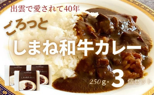 ごろっと しまね和牛カレー    3食セット 322032_DM010