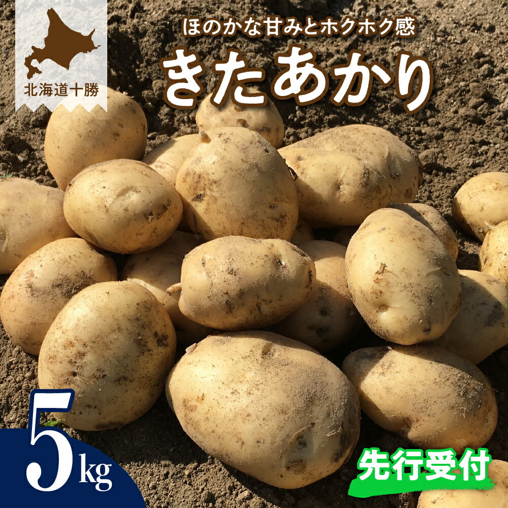【ふるさと納税】【 先行予約 】じゃがいも きたあかり 5kg 【2025年9月下旬より配送予定】 先行受付 ジャガイモ ポテト 芋 いも おいも フライドポテト コロッケ ポテトサラダ じゃがバター 産地直送 新鮮 農協 北海道 十勝 芽室町