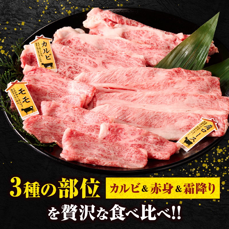 宮崎牛『スライス』3種食べ比べセット(合計300g)肉 牛 牛肉 おかず 国産_T009-037【人気 ギフト 食品 すきやき しゃぶしゃぶ BBQ 贈り物 送料無料 プレゼント】