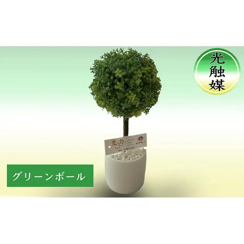 光触媒 約25cm 造花 北海道 光触媒 グリーンボール