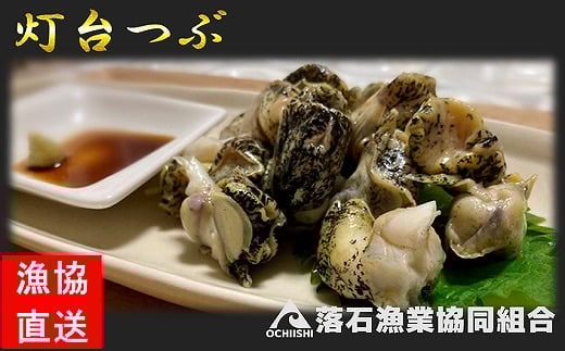 
G-20002 【北海道根室産】灯台つぶ200g×2P(計400g)
