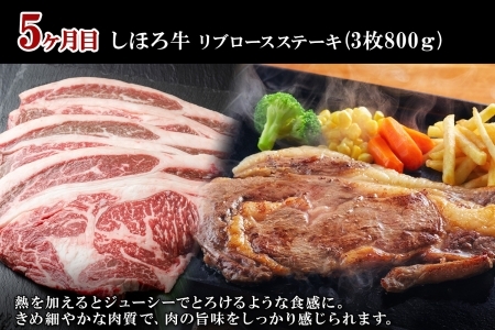 ■定期便■ 北海道 しほろ牛 冬の定期便 全5回 牛肉 サーロイン ステーキ リブロース 切り落とし ローストビーフ カルビ味付き 肉 牛 赤身肉 国産牛 肉 ビーフ 牛肉 冷凍 お惣菜 焼肉 頒布会