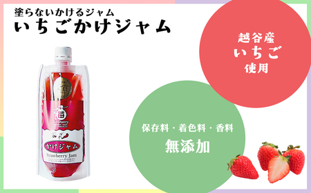 定番のかけジャムパウチパック3種類セット ／ 掛けるジャム 新感覚 いちごジャム メロンジャム ブルーベリージャム 携帯 エコ容器 埼玉県 No.245