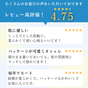 ティッシュ エルモア ボックスティッシュ ティッシュペーパー 20箱 5個ポリ× 4パック ティシュー 日用品 消耗品 備蓄 防災 Kazaru×Krafty ラインアート ふるさと納税 送料無料 愛