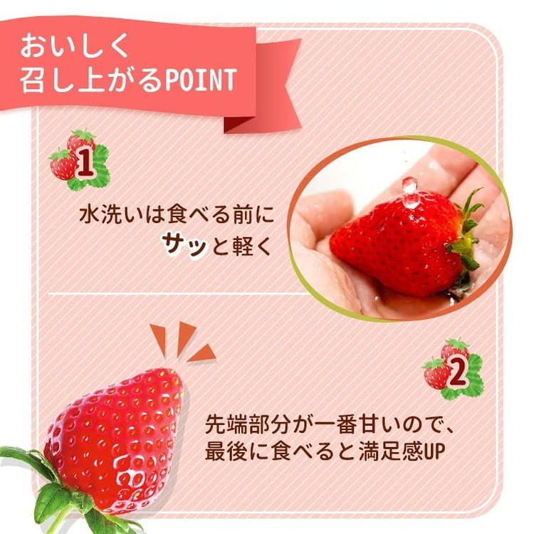 《数量限定》紅白セット（とちあいか・ミルキーベリー） 270g×2パック 540g以上 ｜いちご イチゴ 苺 先行予約 栃木県 果物 くだもの フルーツ デザート  ※2027年1月～発送_イメージ3