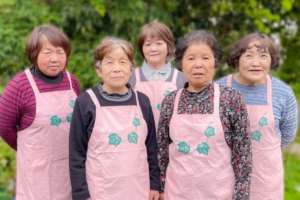 【3ヶ月定期便】葵会こだわりの『手作り合わせ味噌』 3ヶ月 定期便 手づくり 合わせみそ 800g 2個 セット 味噌 みそ 合わせ味噌 米麹 米糀 麦麹 調味料 手作り お取り寄せ 熊本 阿蘇 南小