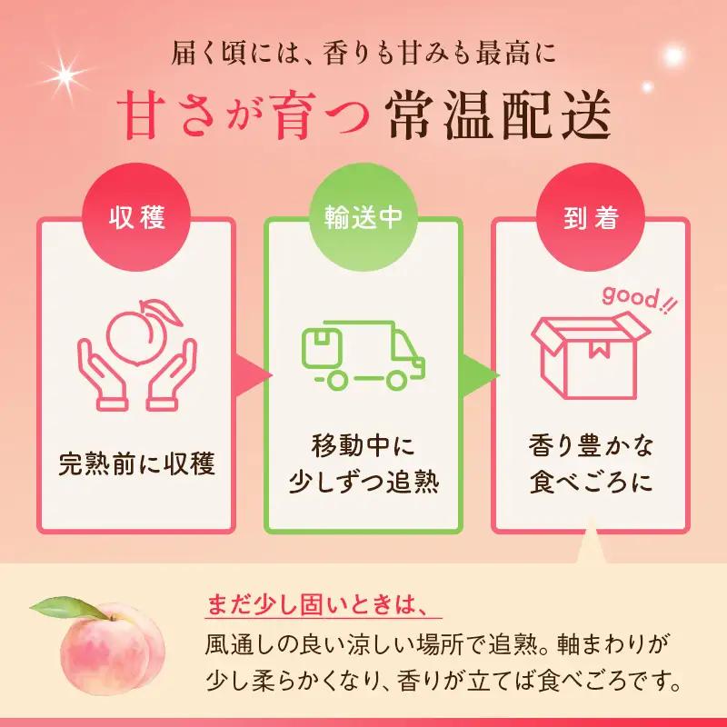 【福島県伊達市産】お試し 桃とメロン（3L～5L）2玉が届く定期便！ あかつき 特秀 約1.2kg・アールスメロン 特秀 2玉 数量限定 もも モモ めろん デザート フルーツ 果物 くだもの 果実 