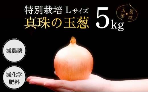 真珠の玉葱 L～L大サイズ 5kg ＜海のミネラルで育てた特別栽培玉葱＞｜玉ねぎ たまねぎ タマネギ 北海道産 岩見沢市【a134-001】【50101】