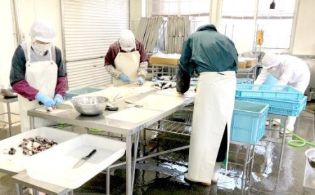 【三陸産】いわし缶詰【水煮・煮付け】10缶セット