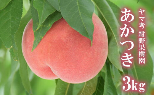 【ふるさと納税】No.2228ヤマ考紺野果樹園 もも あかつき約3kg【2025年発送】