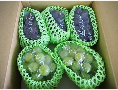 旬食べ比べ！ピオーネ＆翠峰 約3kg ★8月下旬以降発送★【2025年8月下旬～2025年9月下旬発送】【A260-frks153A】
