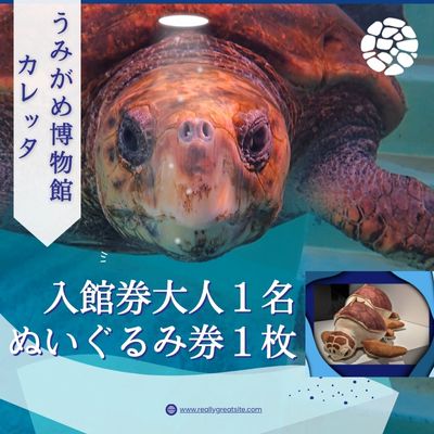 【ふるさと納税】日和佐うみがめ博物館カレッタ【入館券大人1名と限定スピードくじ1回】