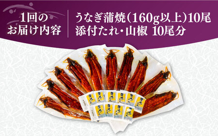 【全3回定期便】福岡県産 うなぎ 蒲焼 大 10尾 計1,600g（1尾あたり 160g以上）[VAD027] 国産 鰻 ウナギ 蒲焼き