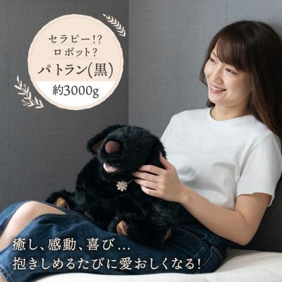 ふるさと納税 糸島市 パトランの黒(通称:クロラン)糸島市/科学工房未來[AYI002]