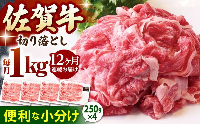 
            【全12回定期便】佐賀牛 切り落とし 1kg ( 250g×4パック )【山下牛舎】 [HAD155] 小分け 真空パック 黒毛和牛 牛肉 和牛
          