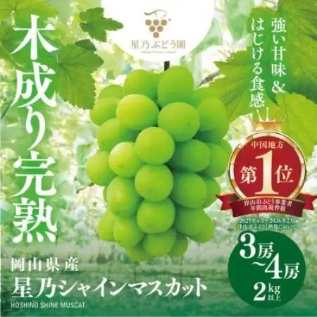 星乃 シャインマスカット 2kg以上 3～4房 数量限定 岡山県産【1778126】