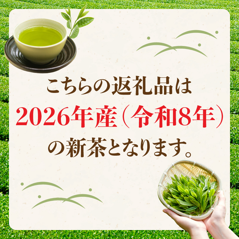 古賀製茶本舗 特級八女茶新茶 ギフトセット【2026年5月以降発送】 八媛みどり さえみどり 初摘み 八十八夜摘み 日本茶 お茶 緑茶 新茶 福岡県 八女市