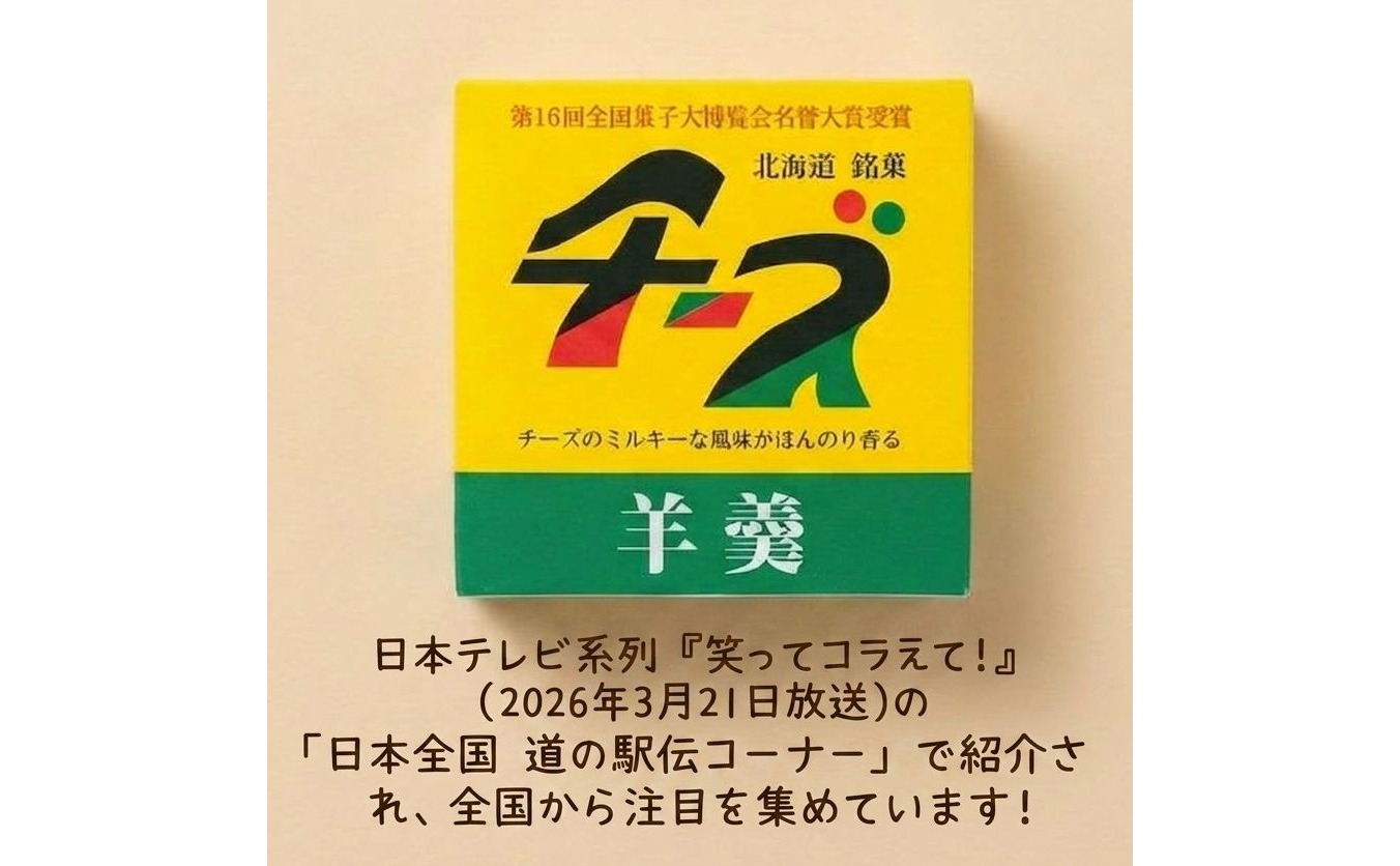 チーズようかん 24個 チーズ 羊羹 ようかん 白餡 あんこ 和菓子 お菓子 おやつ デザート おつまみ 北海道 安平町 安平 24個