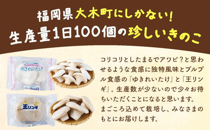 珍しいきのこ2種×3パックセット(ゆきれいたけ3パック・王リンギ3パック)