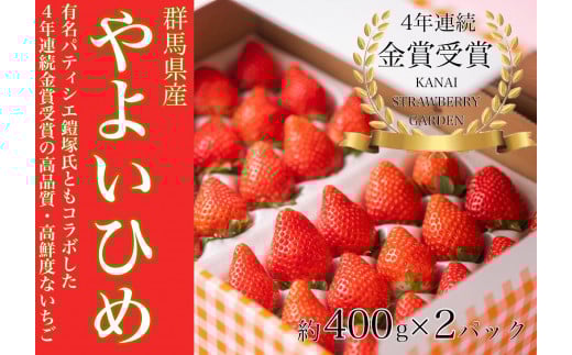 【18C002】　金井いちご園のいちご（やよいひめ）Cコース
