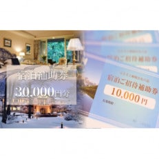 白馬村　宿泊補助券30,000円分(10,000円分×3枚)