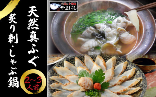 【7営業日以内発送】 ふぐ 炙り 刺身 しゃぶしゃぶ 鍋 たたき 2-3人前 食べ比べ セット 冷凍 まふぐ てっさ 本場フグ刺し 河豚 ふぐ鍋 海鮮鍋 高級魚 鮮魚 本場 下関 山口 旬 お取り寄せ ギフト 年末年始 年末 正月 【 12/21申込分まで 年内配送 】