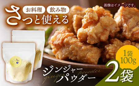 【体の中から温まる！】ほんのり甘い ジンジャーパウダー(100g×2袋) / 生姜 しょうが ジンジャー 温活 / 諫早市 / のんびり山[AHBA005]