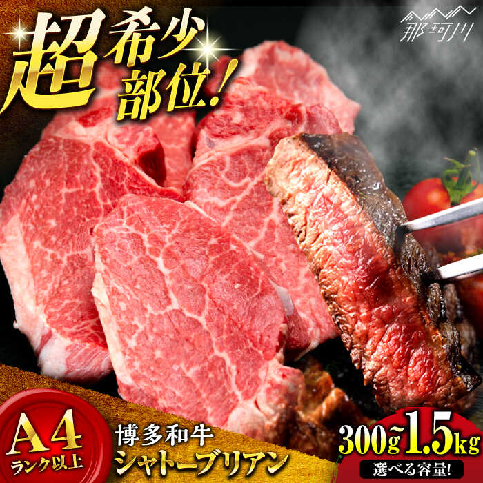 【ふるさと納税】【発送時期・容量選べる】博多和牛 シャトーブリアン ステーキ（300g～1.5kg)＜肉のくまもと屋＞那珂川市 | 牛肉 肉 黒毛和牛 ブランド牛 国産 BBQ バーベキュー 赤身 お肉 ギフト 和牛 ヒレ ヒレ肉 希少部位 [GBI053]