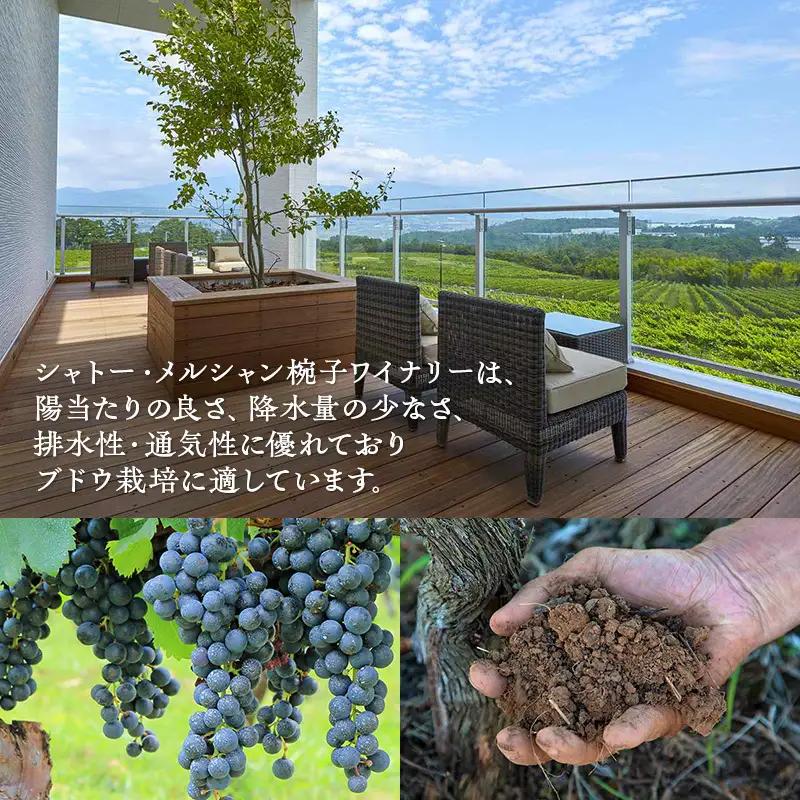 ワイン シャトー・メルシャン 北信左岸シャルドネ ワイン