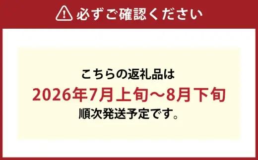 つる付きニューピオーネ 1房 （ 680g以上 ） ハウス栽培 ニューピオーネ つる付き 果物 くだもの 果実 フルーツ 葡萄 ぶどう ブドウ 【 2026年7月上旬～8月下旬発送予定 】