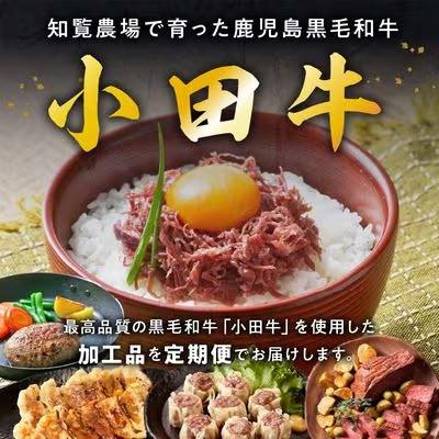 ふるさと納税 南九州市 【毎月定期便】「小田牛」定期便〜加工品づくし〜全3回 |  | 01