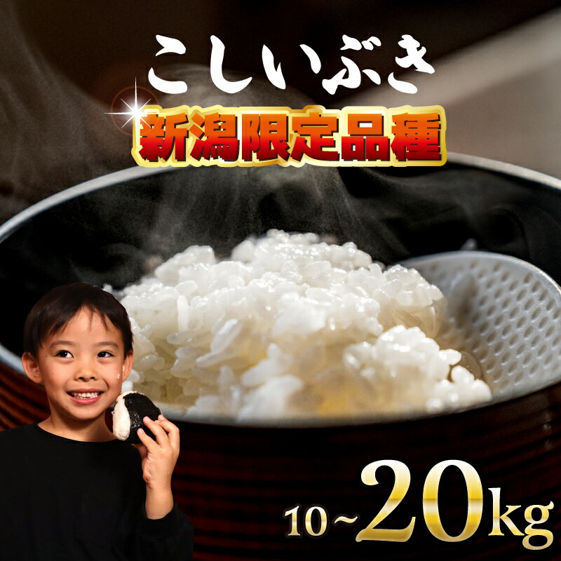 【ふるさと納税】 こしいぶき 10kg 20kg 令和7年産 先行予約 コシヒカリ こしひかり 遺伝子を引き継ぐ ご飯 備蓄 コメ お米 米 こめ しんまい 新潟産 新潟米 新潟県 新潟 新発田 新発田市 国産 新発田市産 斗伸 toushin039 toushin040