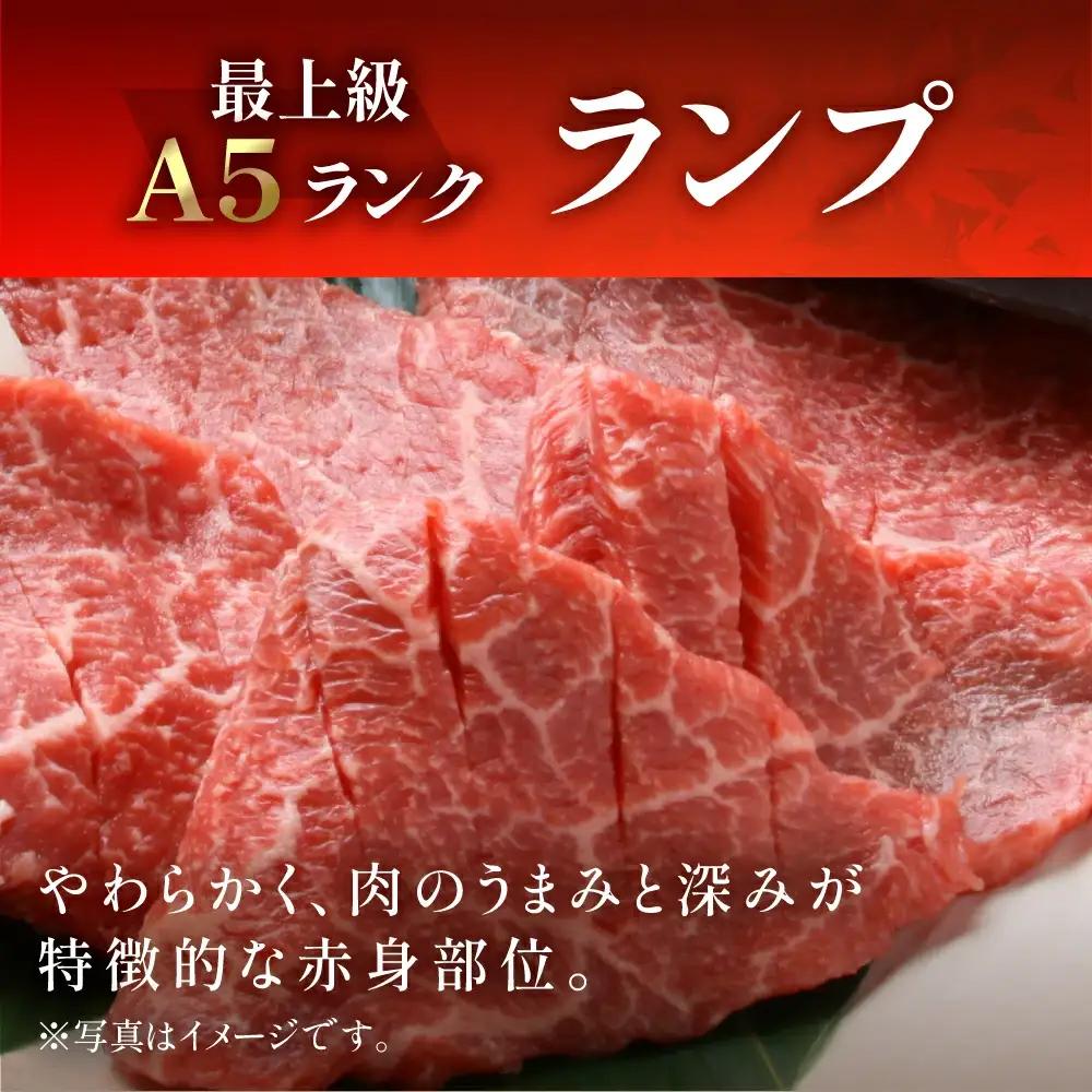 飛騨牛 ランプ焼肉 570g【11-1021】