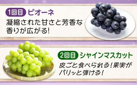 ぶどう【全2回定期便】ピオーネ マスカット 各2kg（計2種）[BAEV014] ぶどう