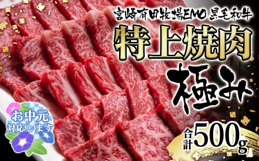 【お中元ギフト】黒毛和牛稀少部位を含む 特上焼肉極み500g 有田牧畜産業ブランドEMO牛 牛肉 焼肉 国産牛肉＜1.8-23＞