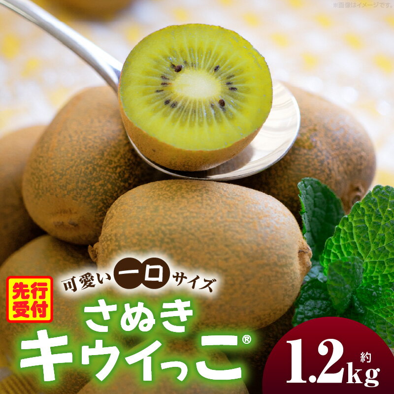 【ふるさと納税】こつぶでちゅるん　さぬきキウイっこ 約1.2kg キウイ フルーツ 果物 旬 旬の果物 キウイフルーツ デザート 生鮮食品 贈り物 贈答 お裾分け おすすめ 人気 ギフト グルメ 特産品 果肉 季節 季節の果物 香川県 三木町 送料無料